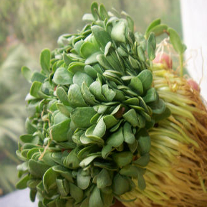 shop_small1